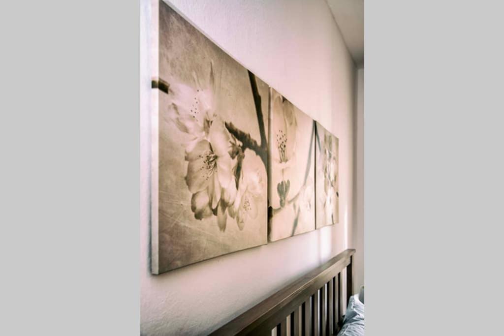 폰사코 Casa Letizia 아파트 외부 사진
